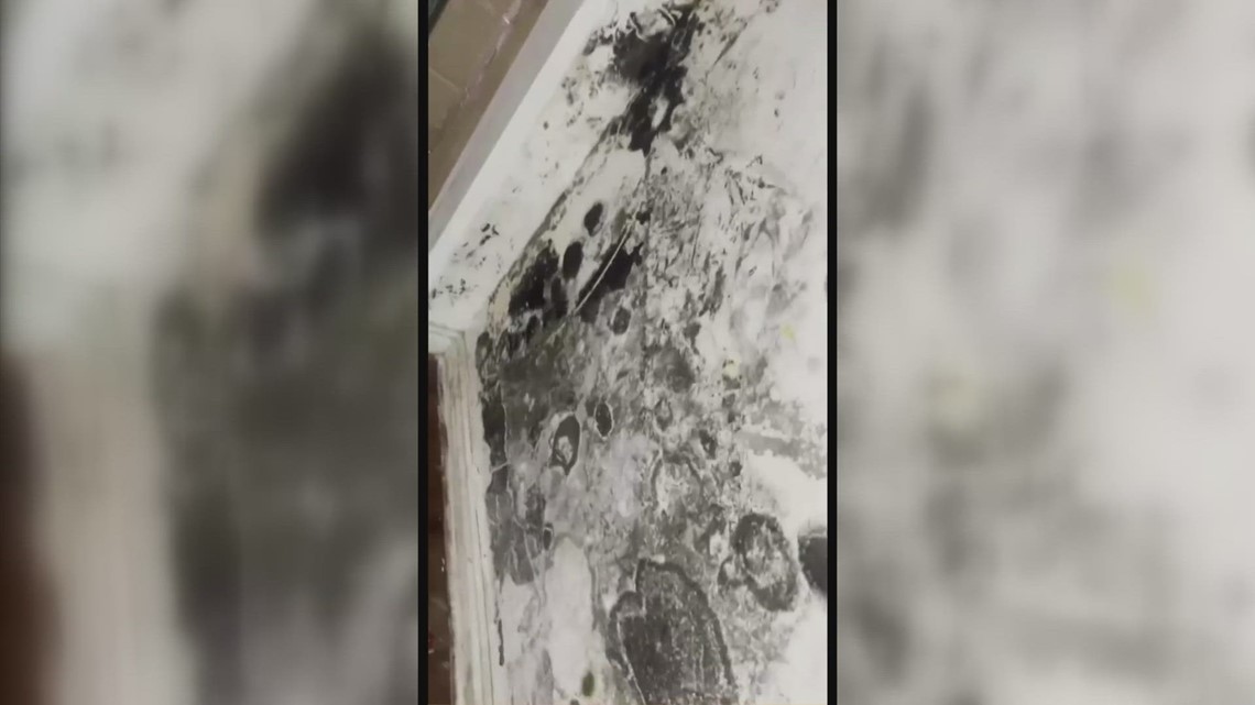Mother says her apartment's mold damage cost her $1500