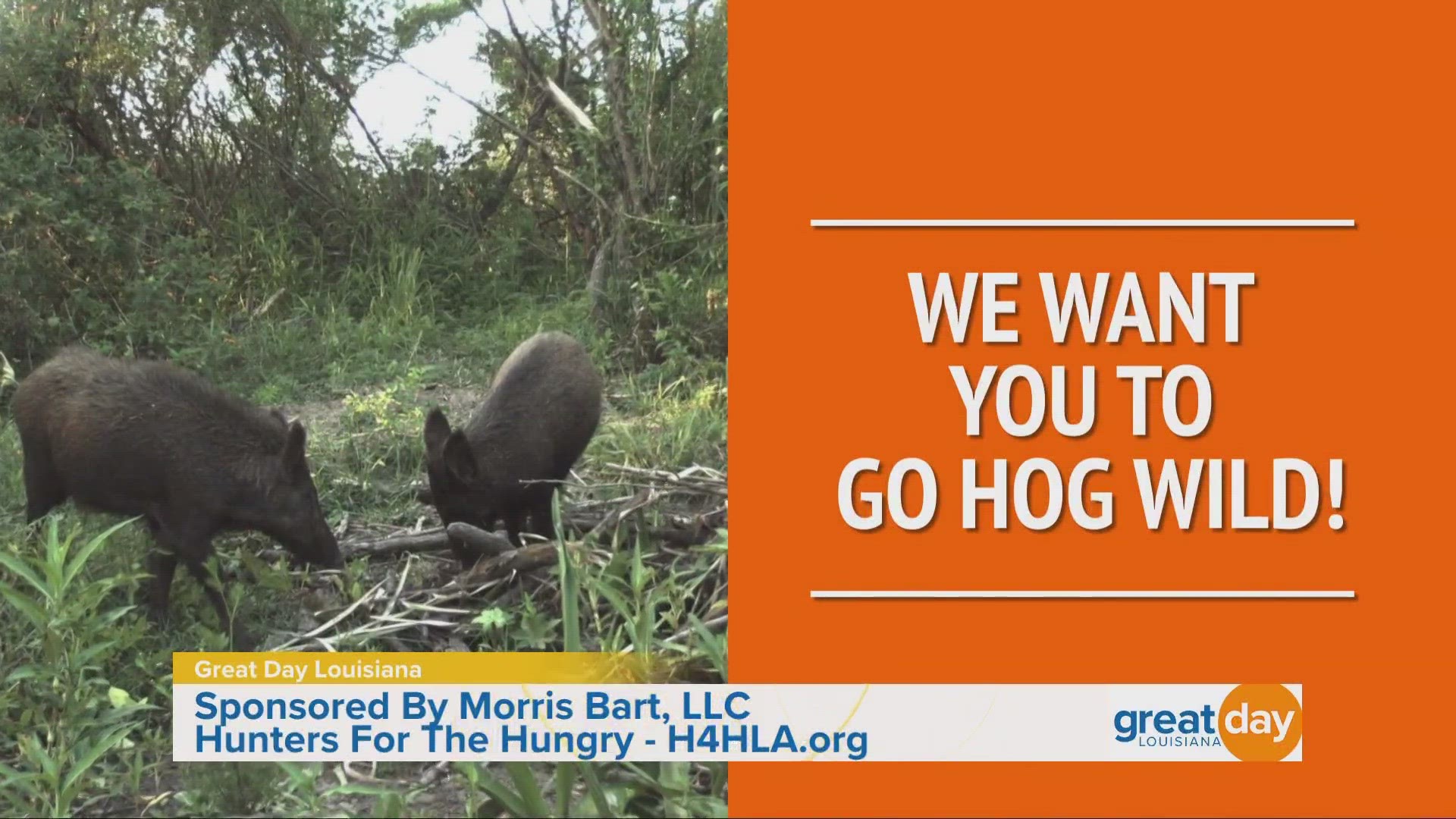 Hunters For The Hungry Louisiana host their first annual Hogapalooza to help their mission of feeding those in need.