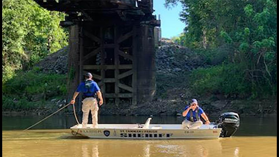 Search on in Pearl River for person struck by train and knocked into