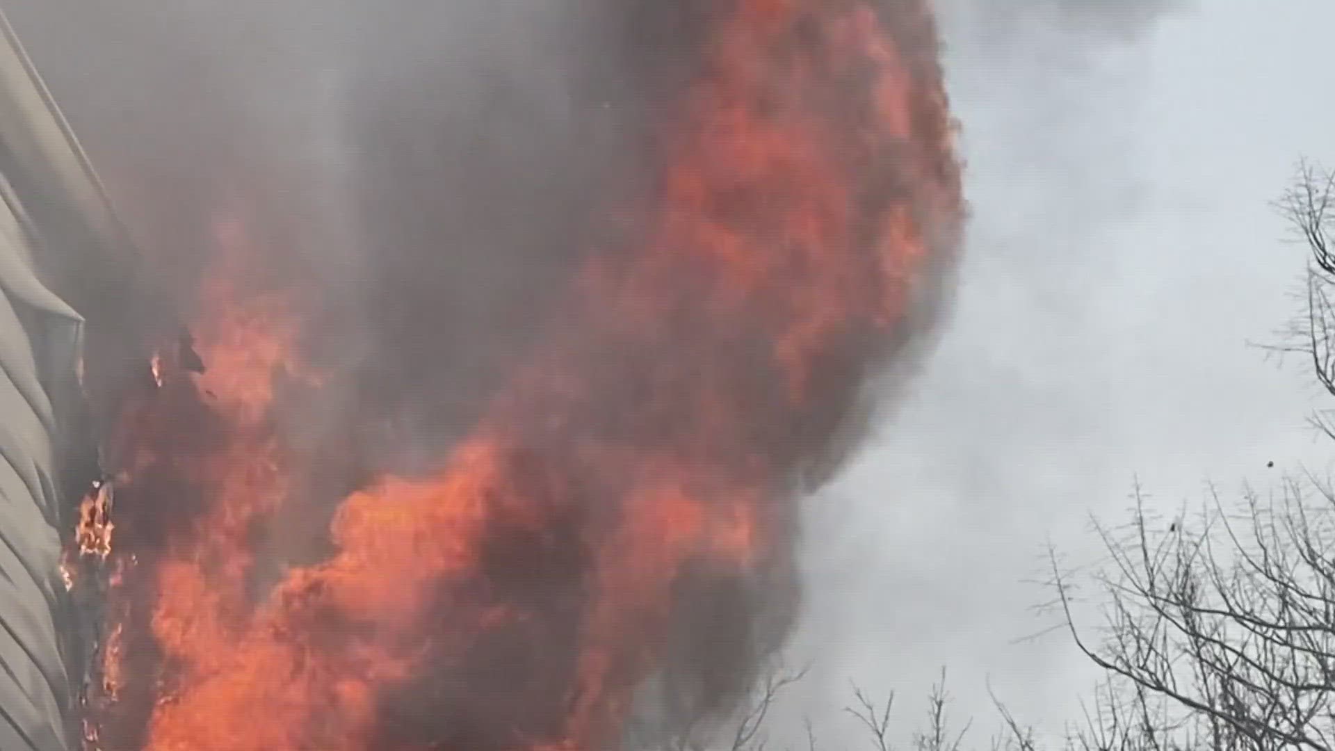 The fire happened on Ursulines Avenue in Treme, firefighters said two cats died in the fire.