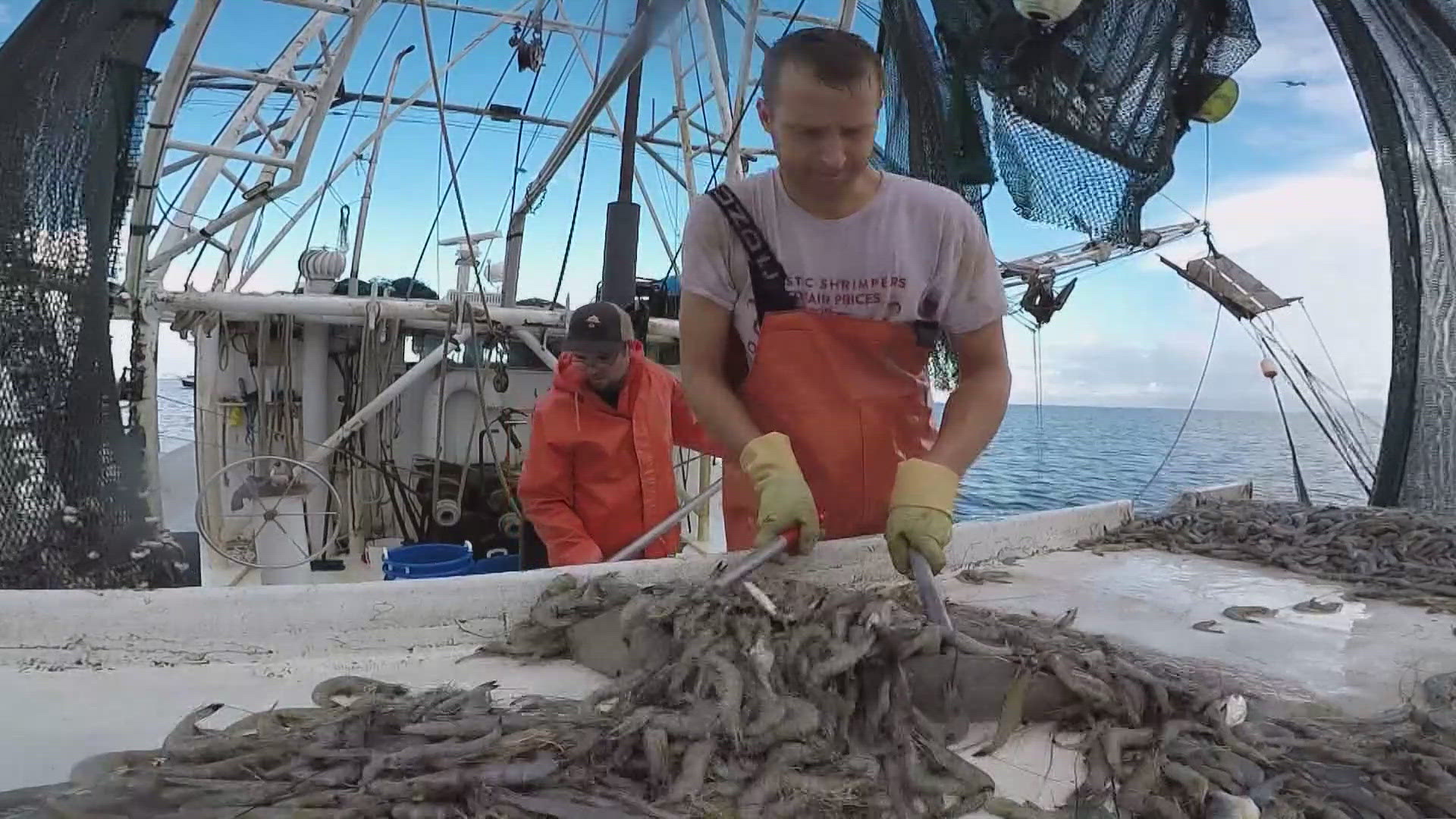 Lawmakers across the Gulf Coast like Senator Bill Cassidy are celebrating a decision to add new tariffs on some imported shrimp.