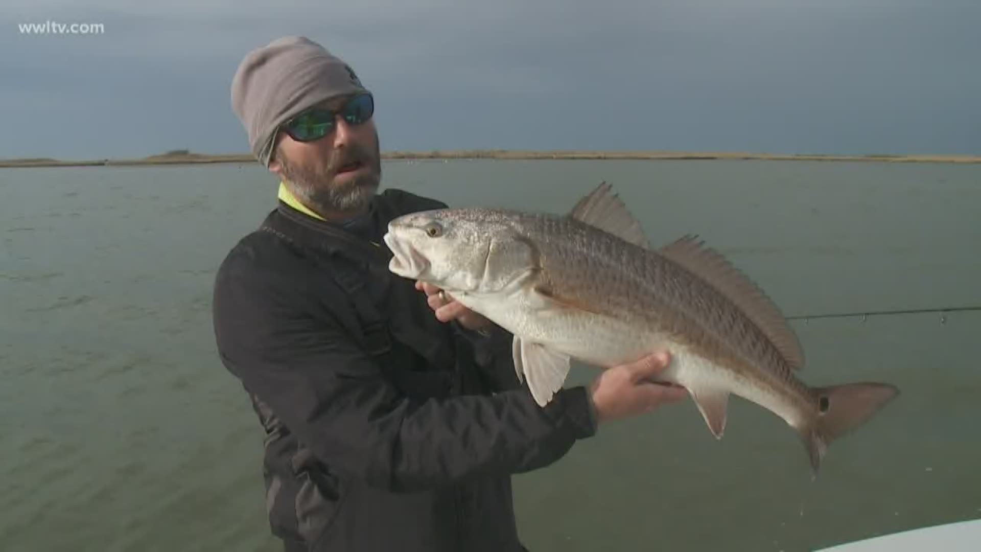 Don Debuc and his crew took us Wintertime fishing for some nice Redfish.