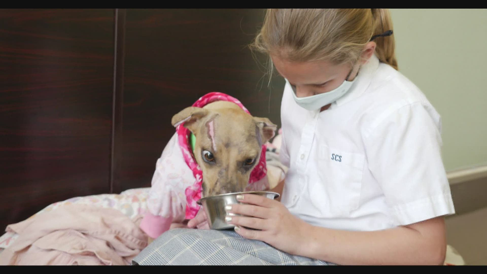 Sadie, the dog that survived a kennel fire has had her medical bills taken care of by Jefferson Parish Sheriff Joseph Lopinto's daughter after raising $2,400.