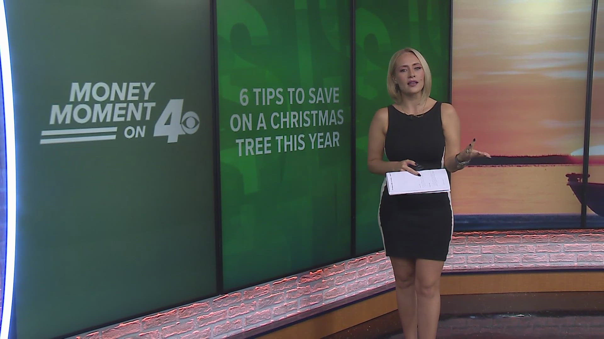 We have some expert tips to save money when buying a Christmas tree this year.