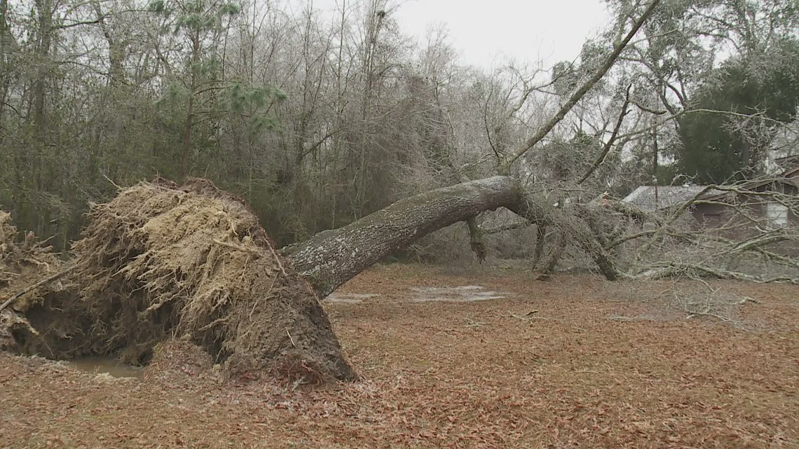 Louisiana winter storm: Thousands without power due to icy storm - Vimarsana News