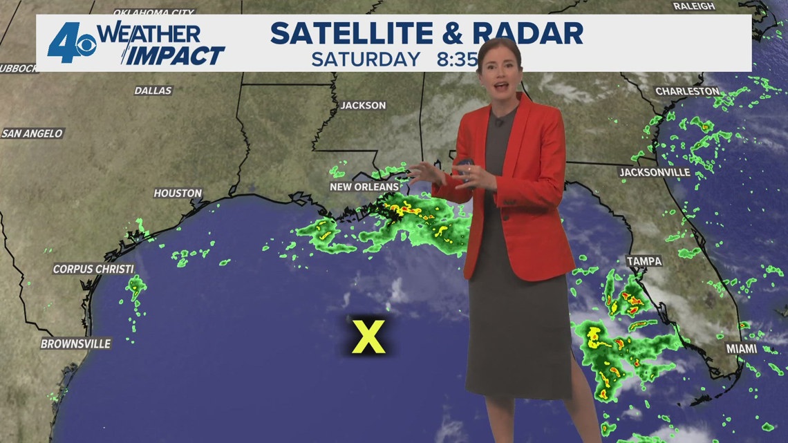 Background, age of Landry appointee draws attention | wwltv.com