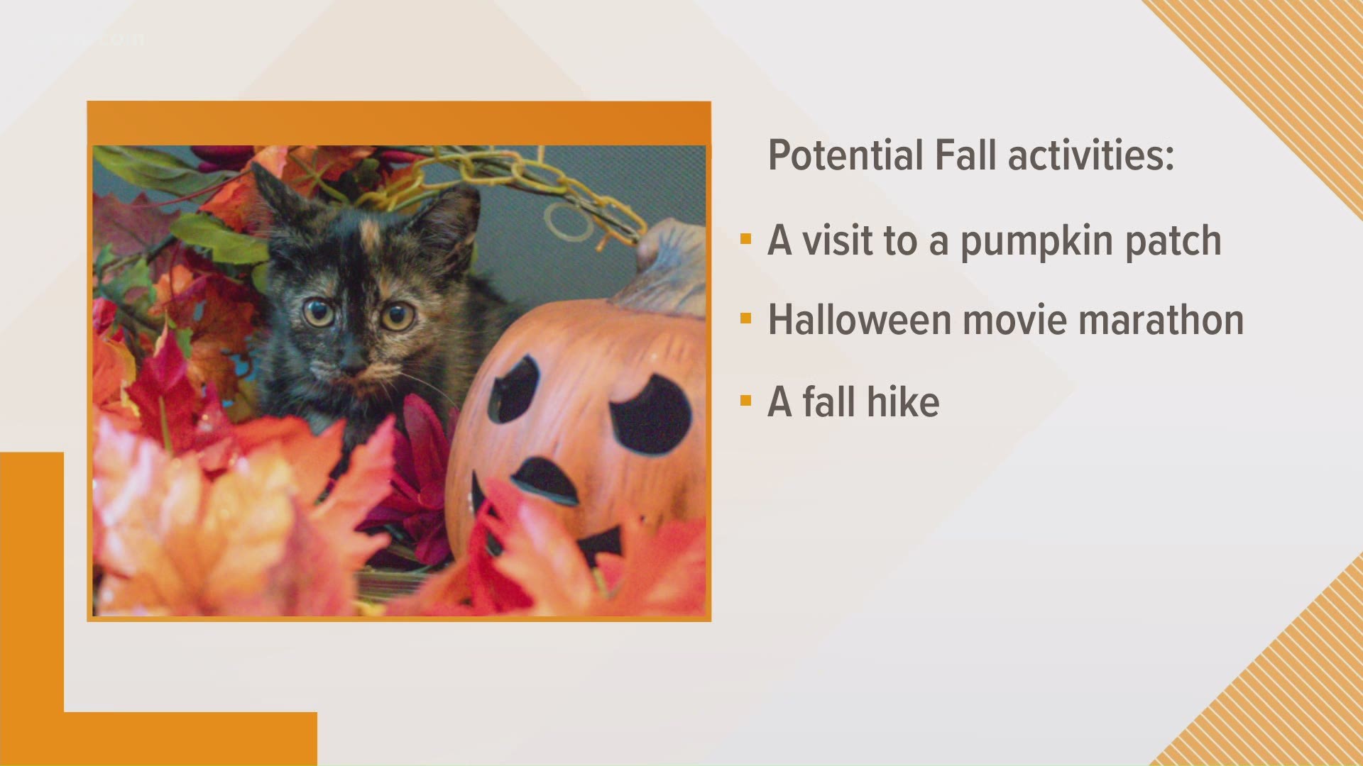 Justin Vloistch with the LA SPCA has a warning for you pets about the dangers of Fall but also some Fall events you can enjoy with your furry friend.
