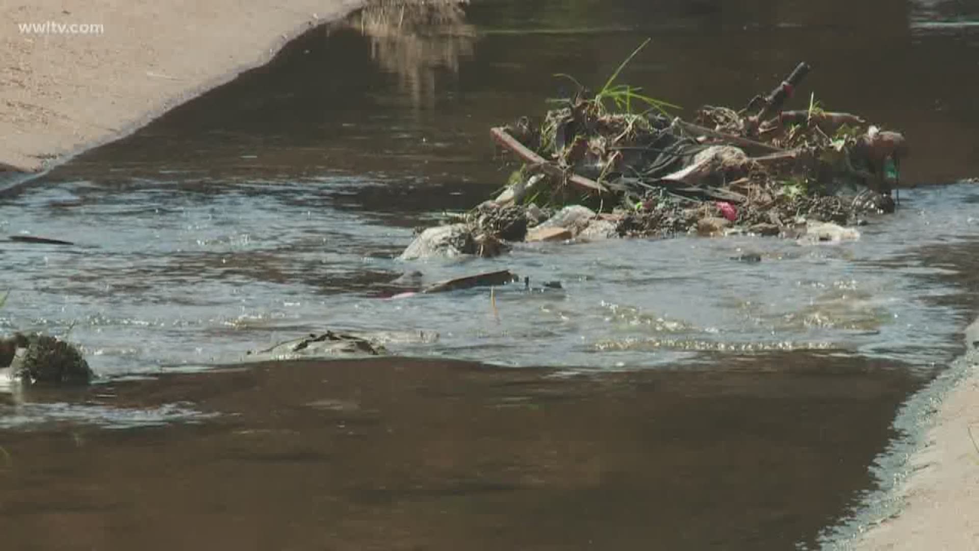 Faced with major flooding issues and seemingly no end in sight, residents are taking it upon themselves to clean up drainage canals.