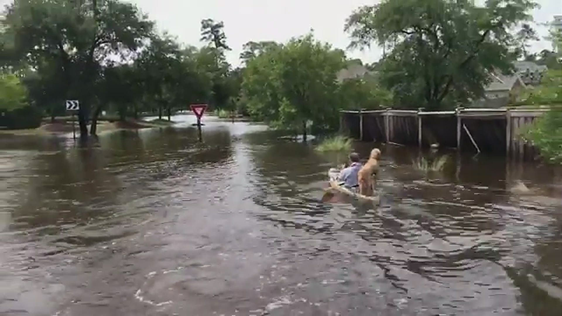 Flooding in the Bedico Creek neighborhood in Madisonville Friday morning.