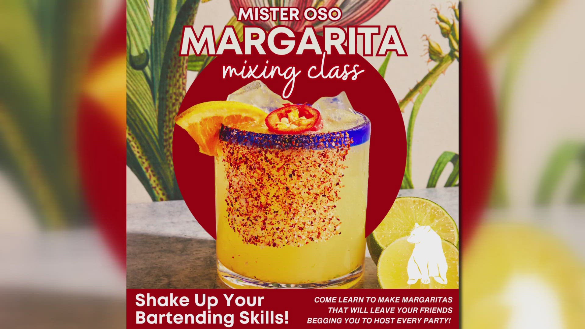 Mister Oso Margarita Class