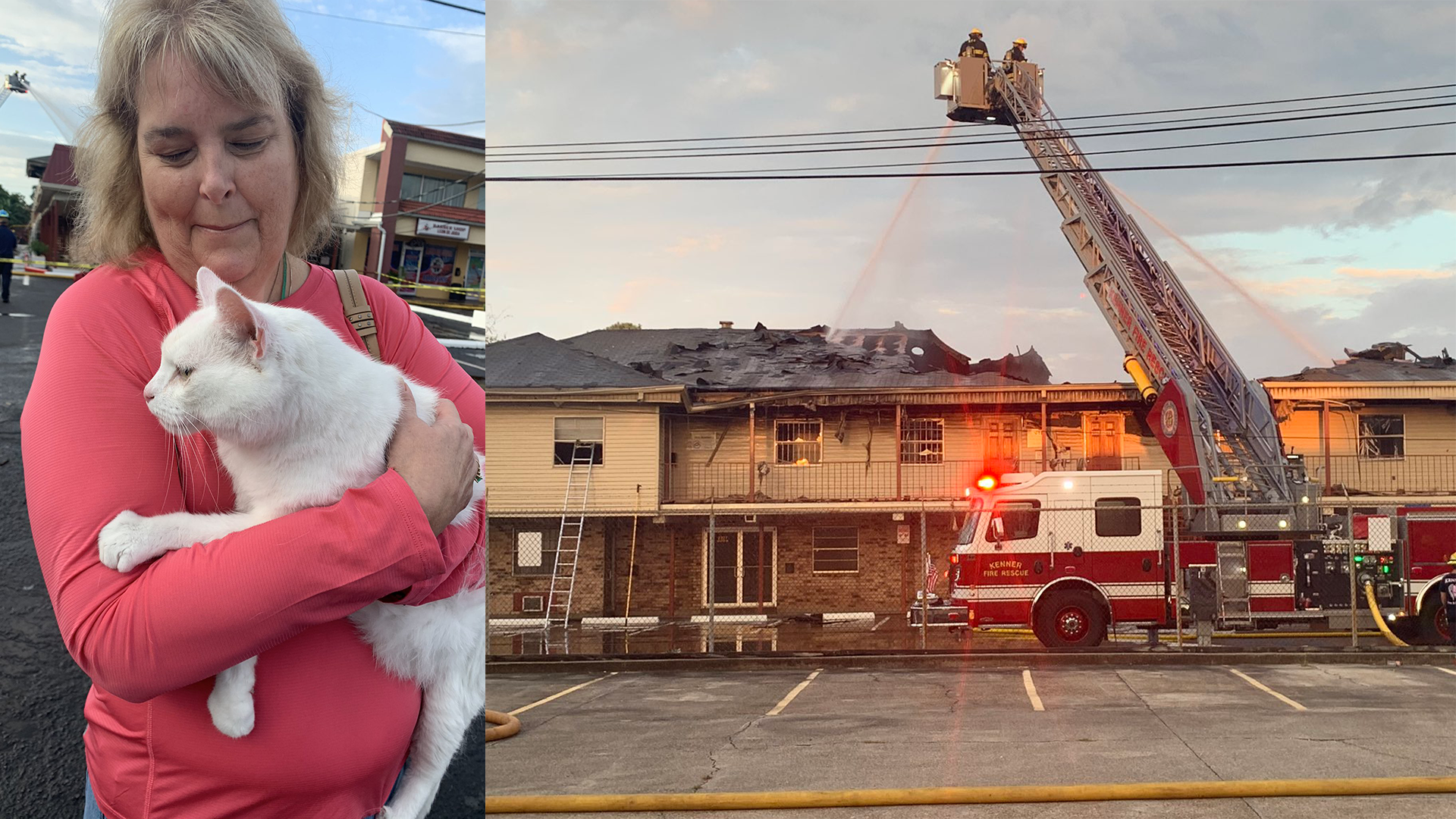 Cat reunited with worried owner in live TV interview outside fire ...