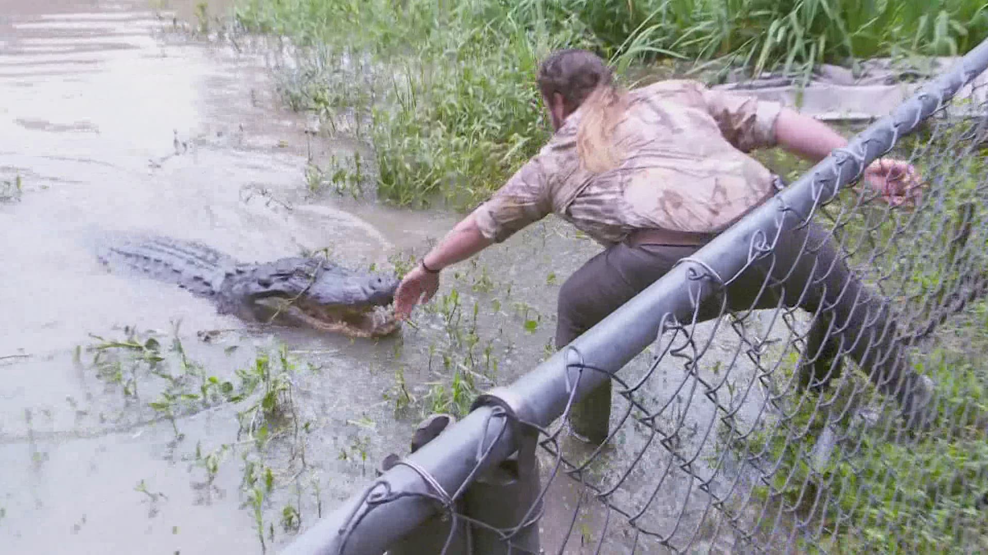 Zamariah "ZZ" Loupe, owner of Zam's Swamp Tour in Thibodaux and a onetime professional wrestler, takes Leslie Spoon on a swamp tour.