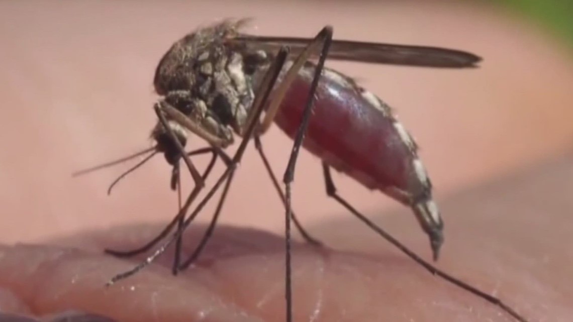 St. Tammany Parish Council to take more control of mosquito abatement budget under new law