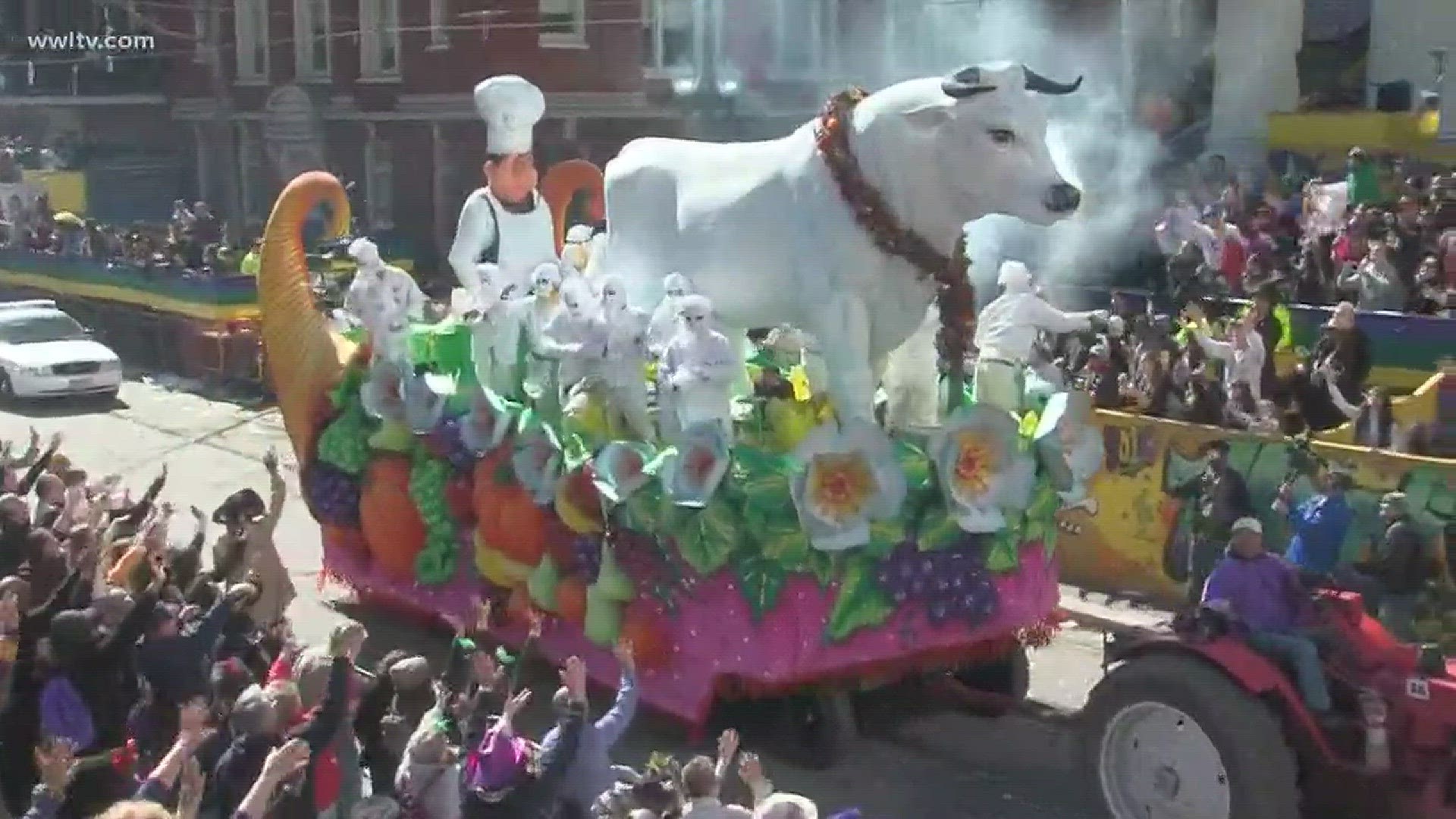 Mardi Gras historian Errol Laborde talks about the history of one of the oldest symbols of carnival - the Boeuf Gras.