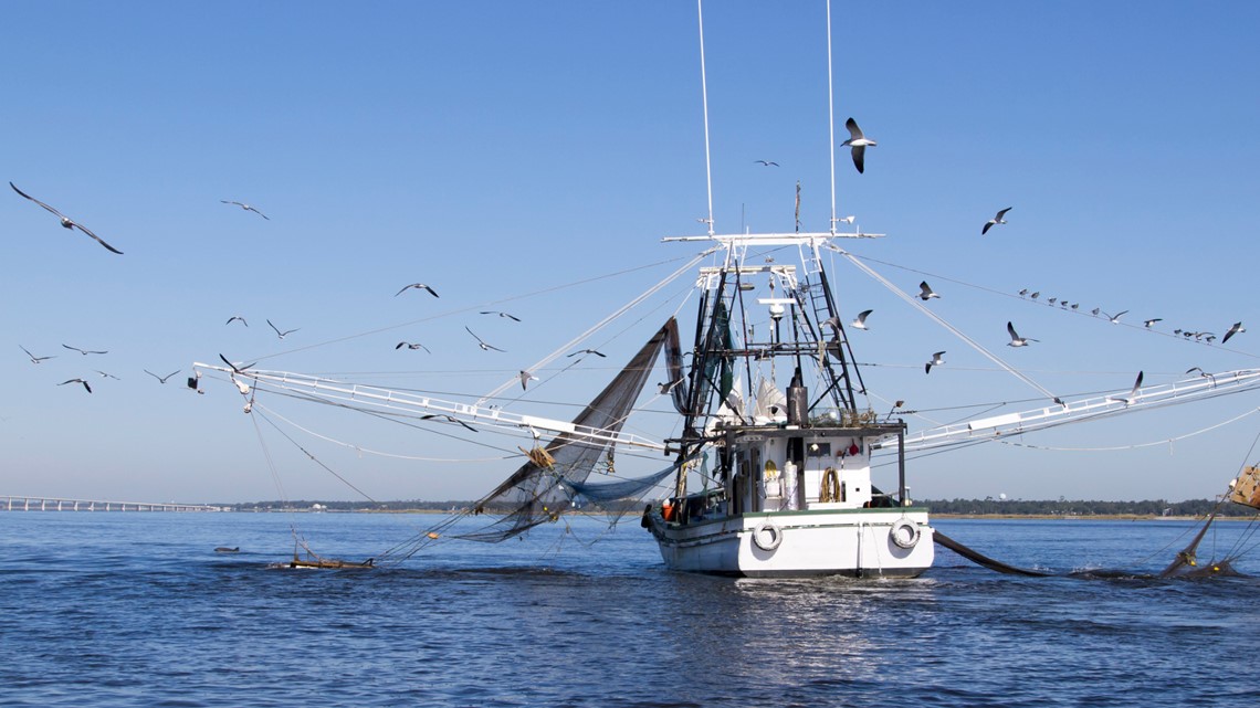 Mississippi shrimp season extended | wwltv.com