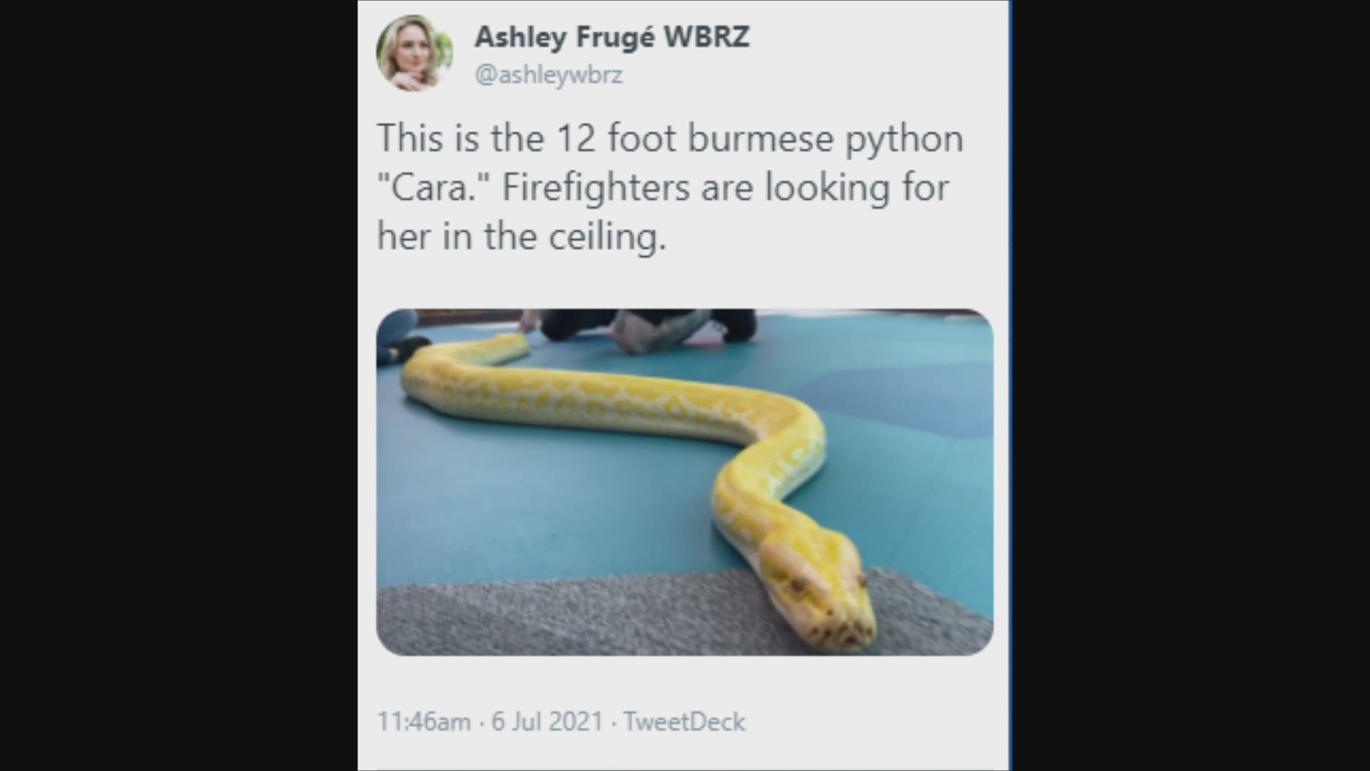 Part of the Mall of Louisiana was closed after a python escaped from its enclosure in a store inside Tuesday morning.
