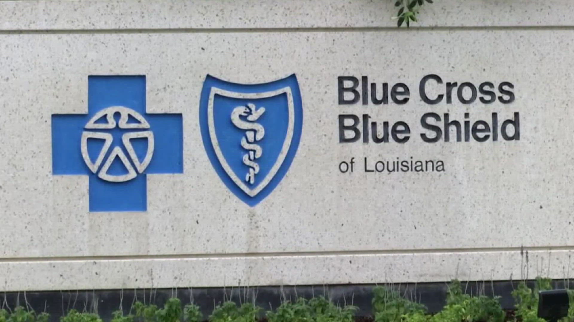 Future of Blue Cross Blue Shield Louisiana