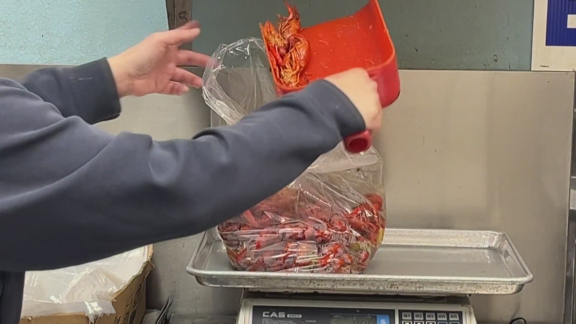 Cold snap could snarl crawfish supply, leading to higher prices | wwltv.com