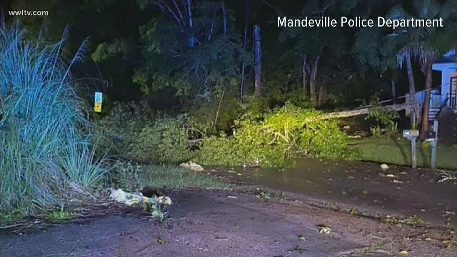 The weather event that downed several trees and power lines and caused significant property damage in Mandeville Sunday night was an EF-1 tornado, the NWS says.
