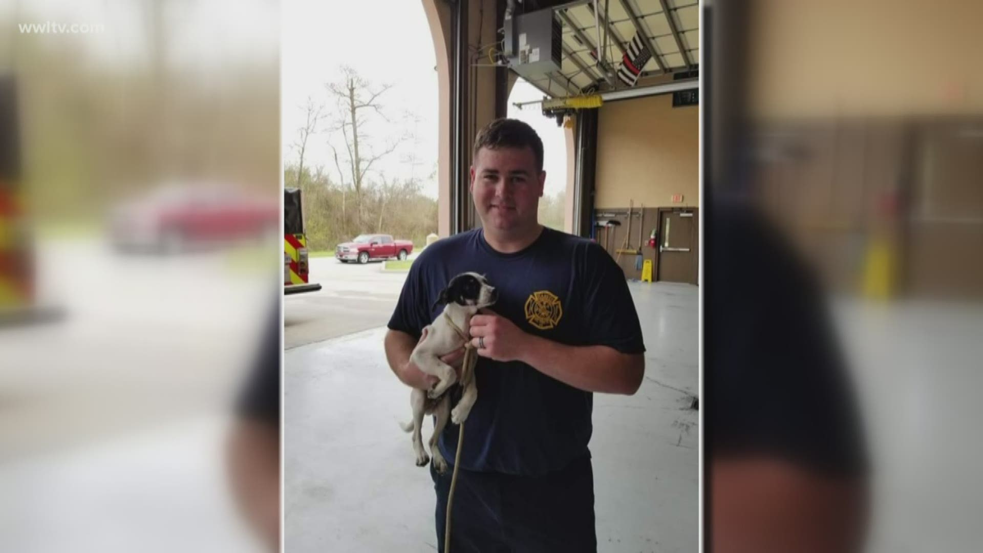 Here's some good news to talk about: A puppy is safe thanks to Harvey volunteer firefighters.