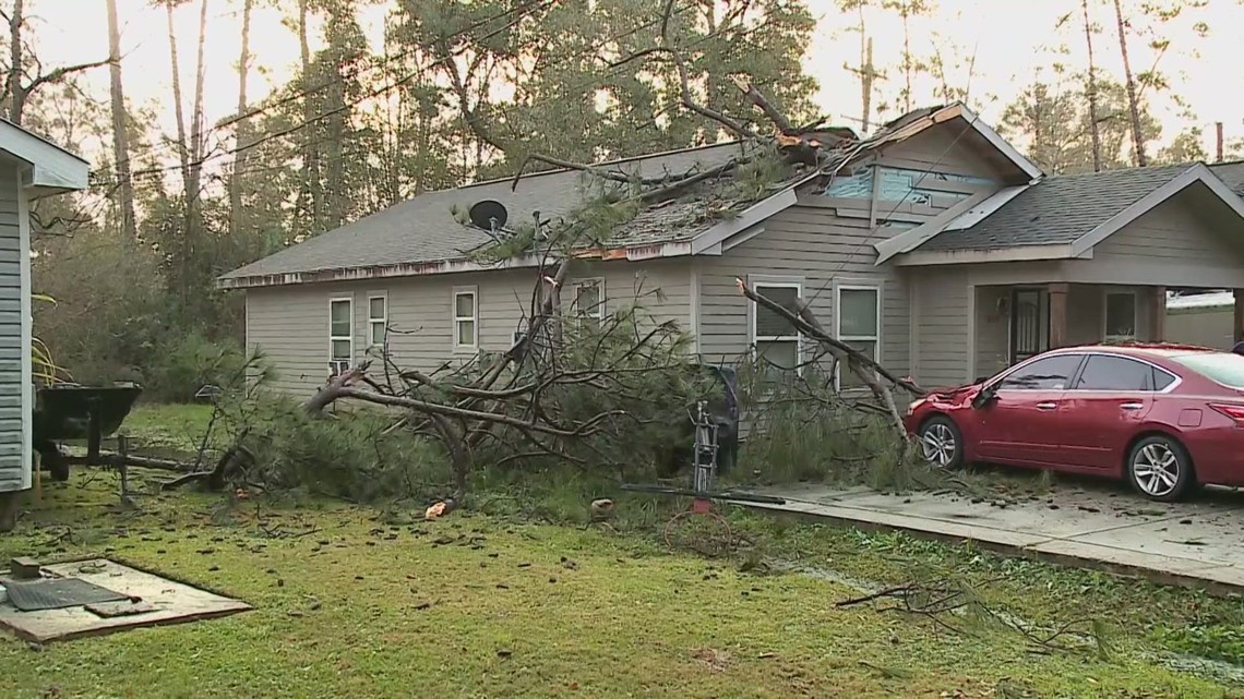 Tree crashes through home | wwltv.com