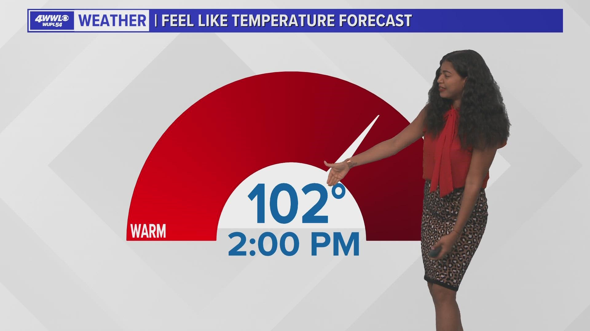 Dog rescued after legs sawed off, being shot on Northshore