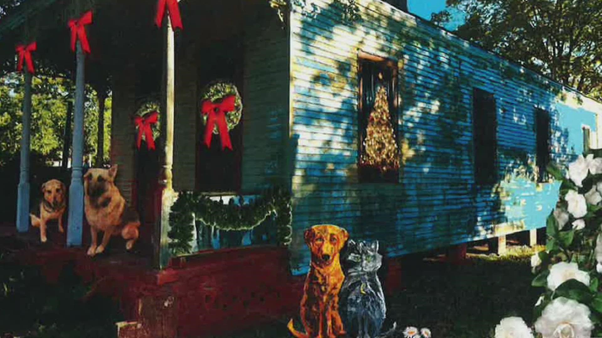New Orleans native's new book highlights homeless people and animals over holiday season