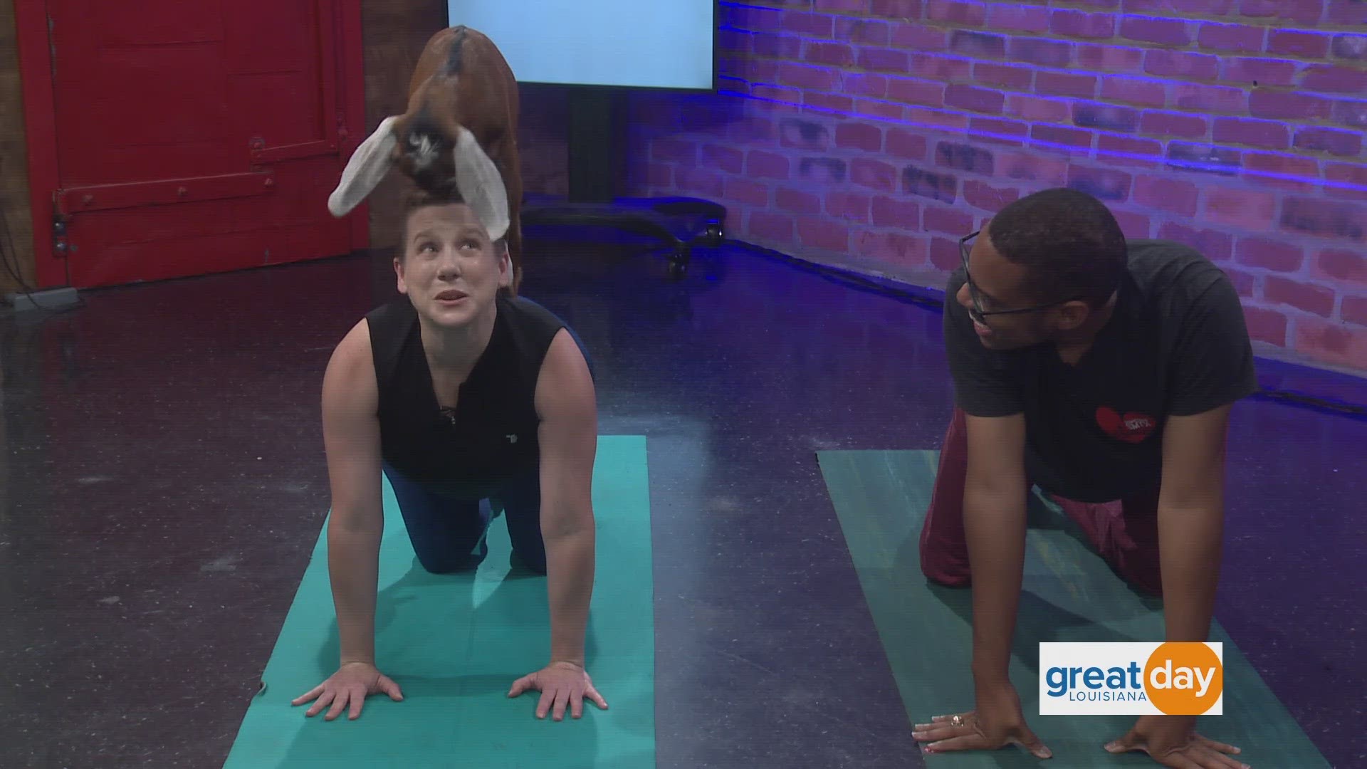 Screaming Kids Goat Yoga stops by to talk about how goat yoga can be therapeutic.