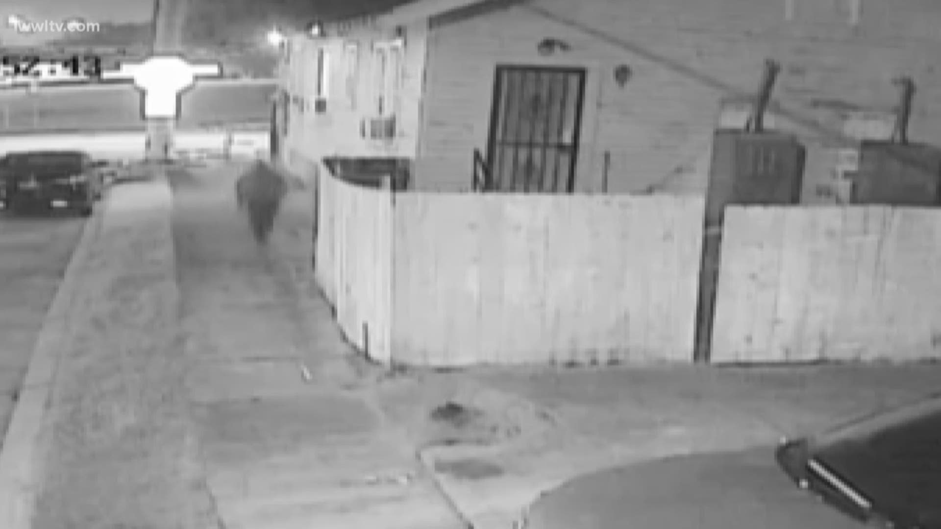 Police released surveillance footage showing the man who opened fire on the house the two cousins lived in.
