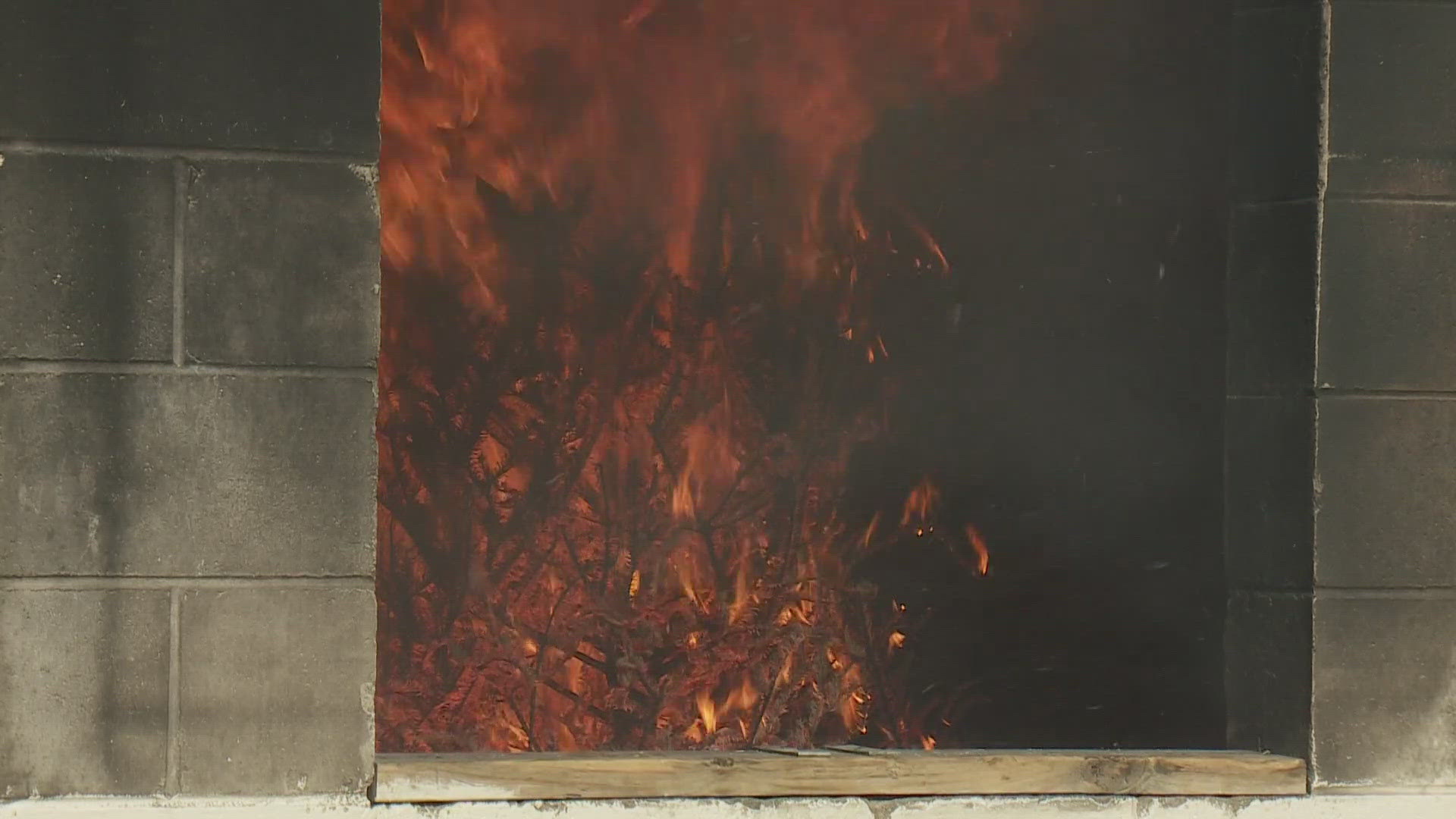 Fire chiefs from around New Orleans area gathered and set a Christmas tree on fire to show how quickly it can become an inferno and potentially set a home ablaze.