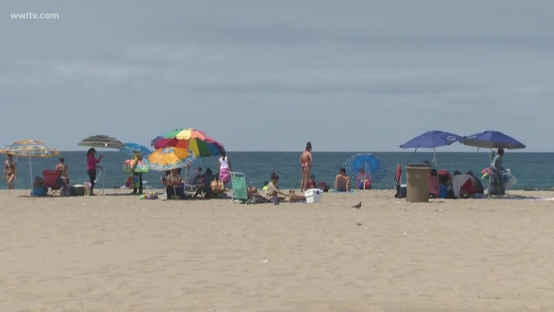 Dermatologists raise concerns about sunscreen as summer starts
