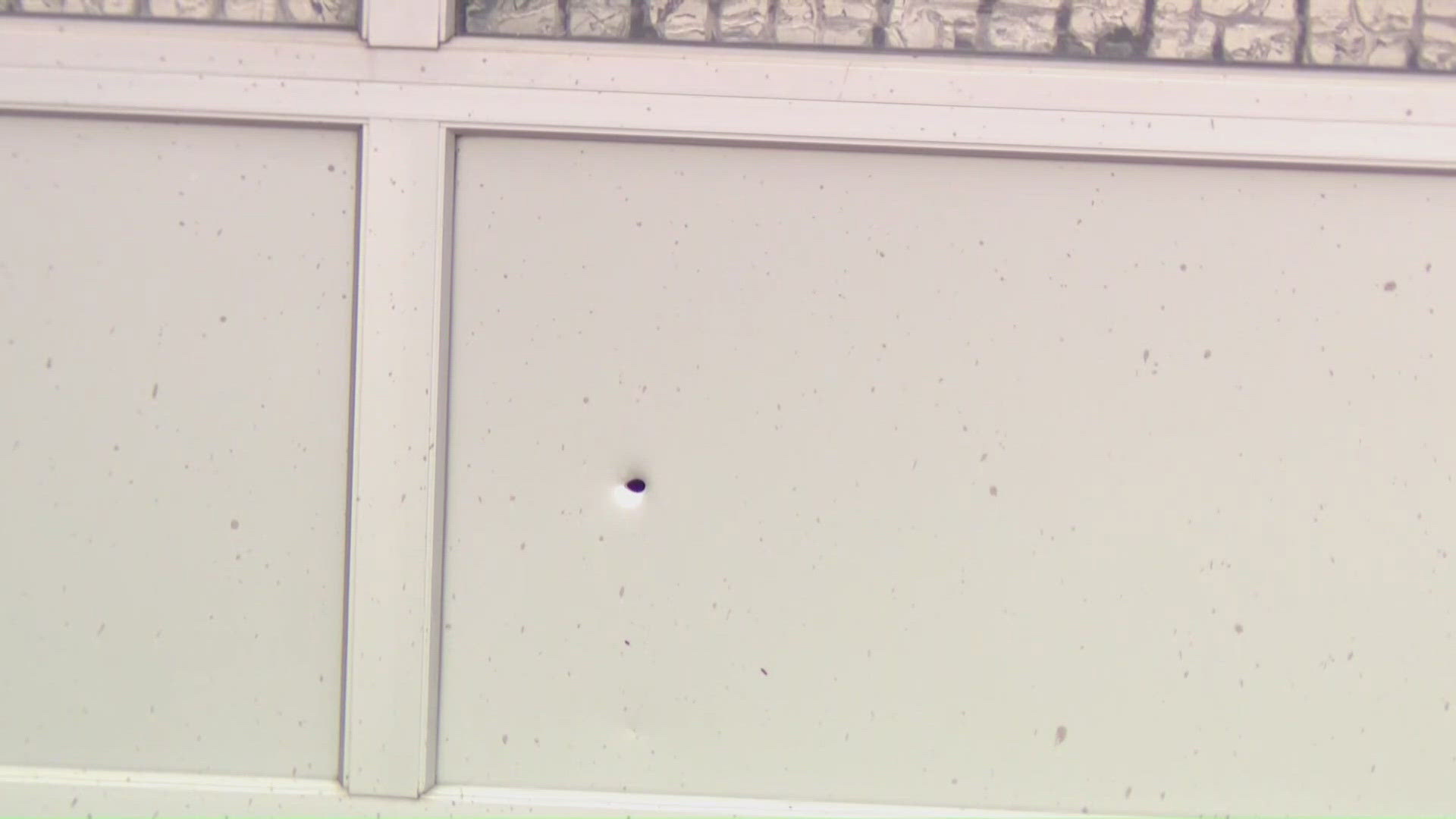 3 in custody following multiple 'random' shootings in Austin | wwltv.com