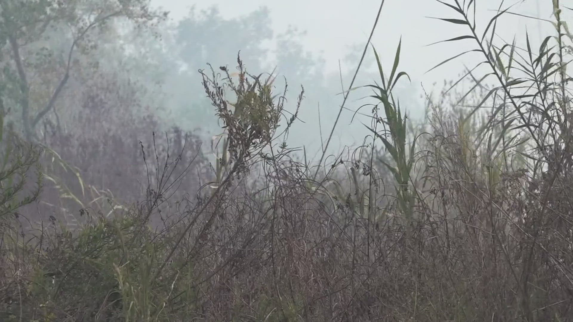 There is an air quality alert for people who are sensitive to smoke.