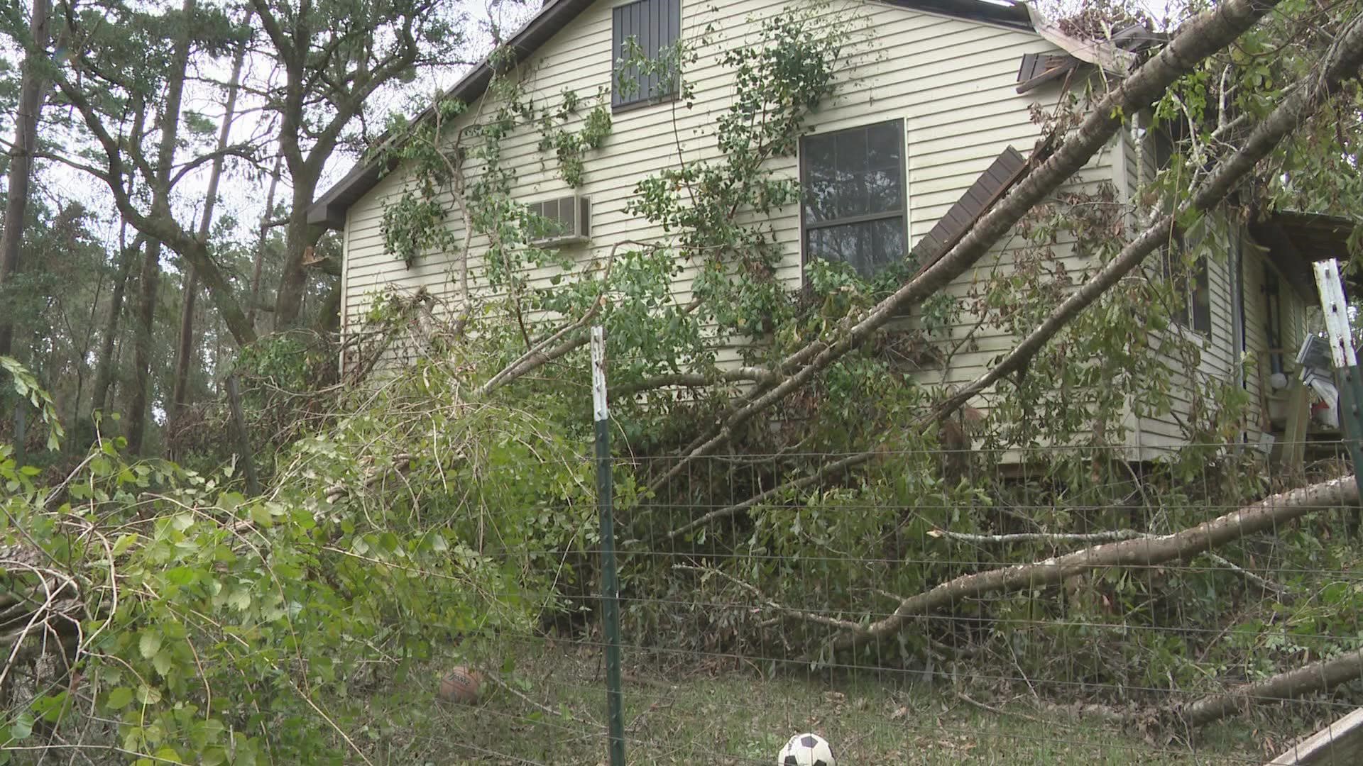 Huge trees still cover Sarah Hall's house and yard, and she's desperate to find anyone who can lend a hand.