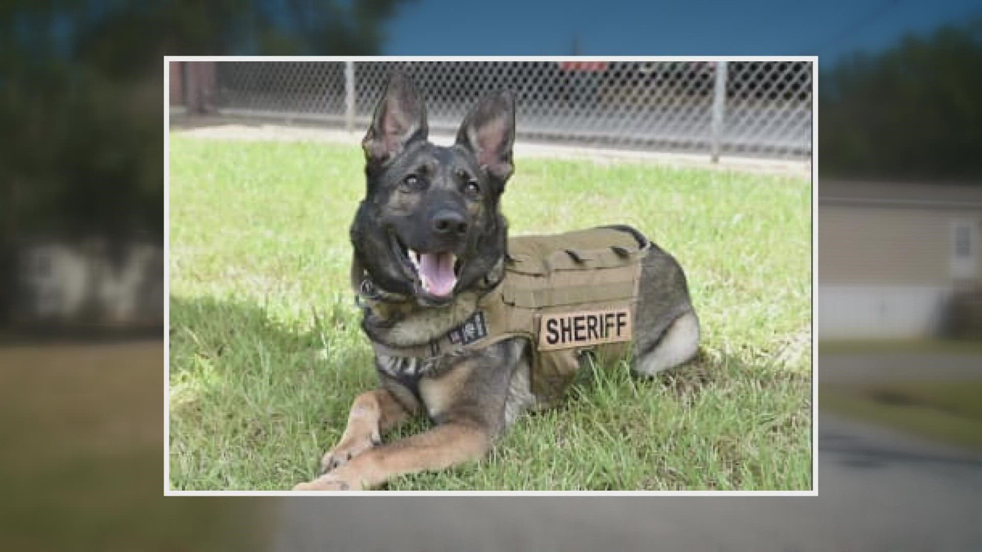 Bella the K-9 officer was shot in the jaw while police were trying to arrest a suspect.