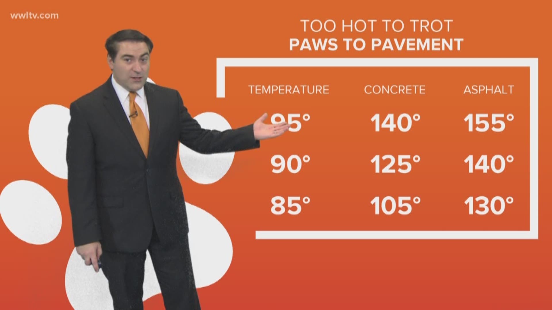 Dave Nussbaum says that if you think the air temperature is hot, the temperature on the concrete and asphalt is much, much worse, especially for your pets. 