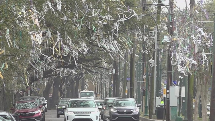 No cleanup planned for toilet paper covered trees post-Tucks