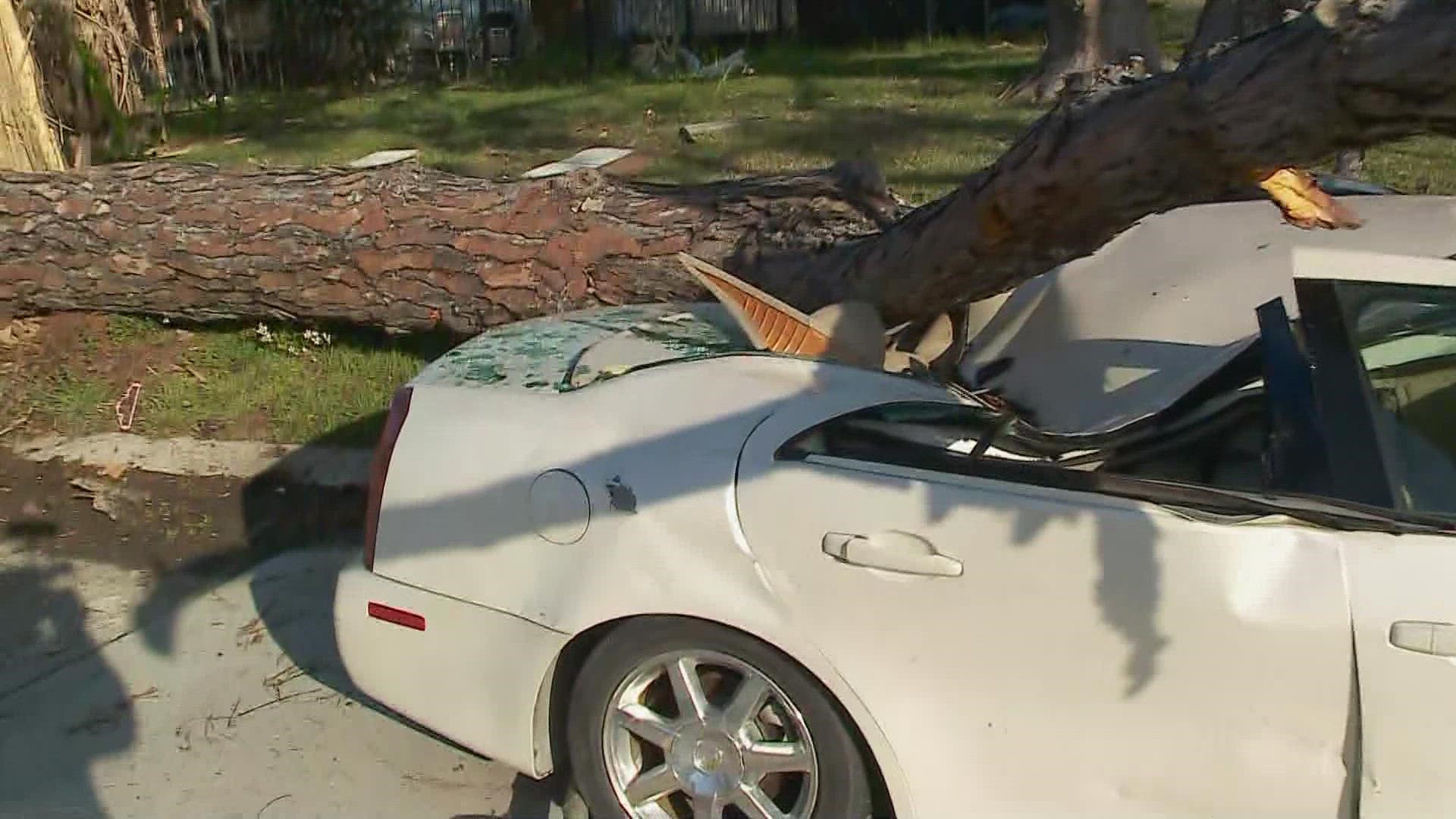 Tornado downs trees, smashes cars in New Orleans East