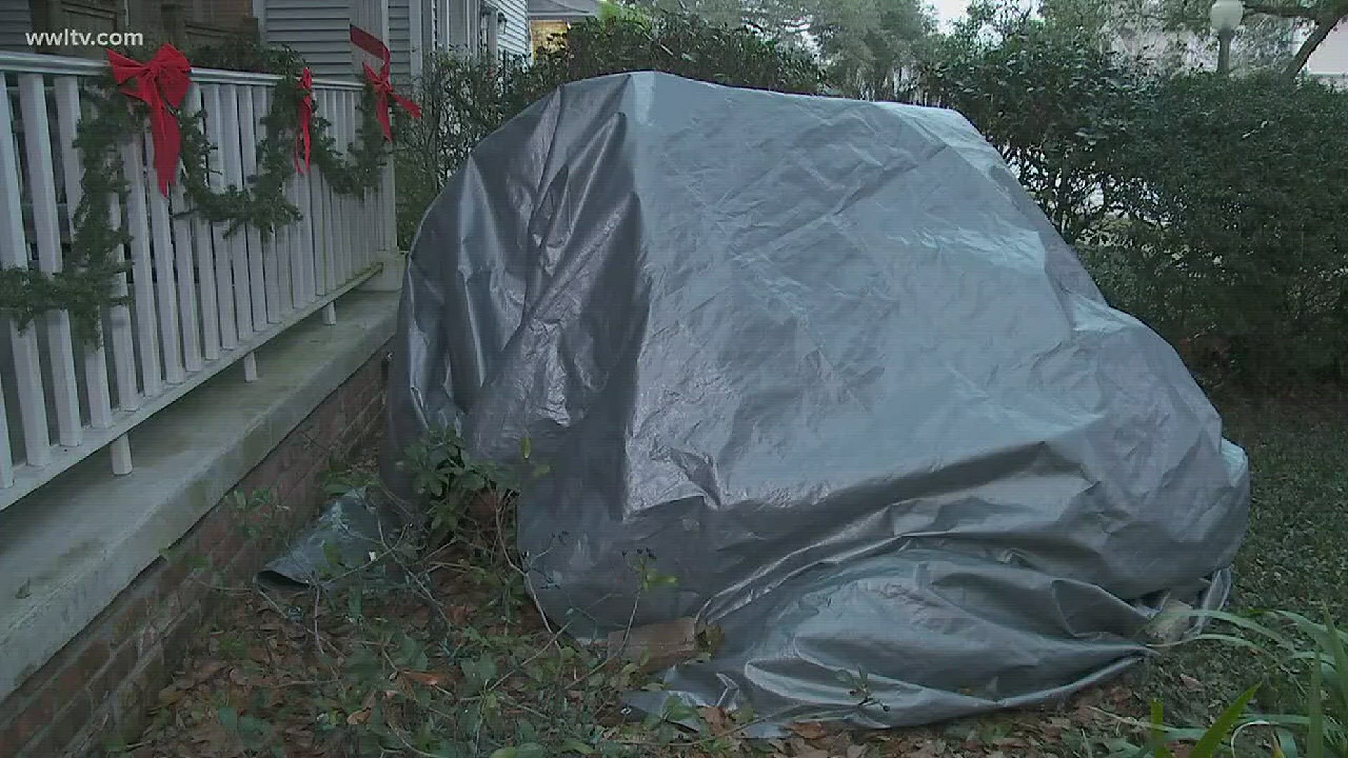 What's the best way to protect your plants from freezing temperatures