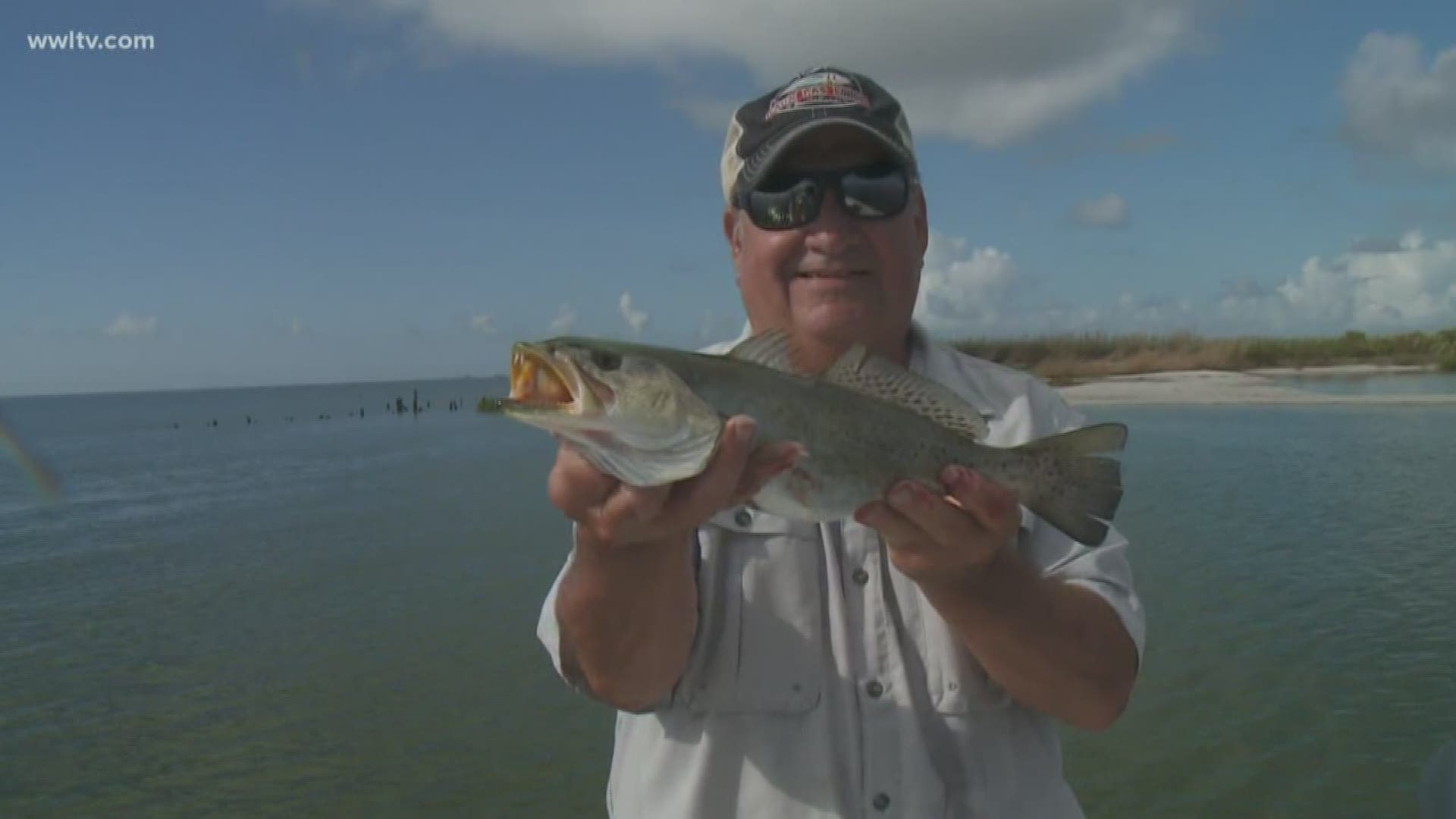 Don Debuc shows us whether or not Hurricane Barry affected the catch along the coast.