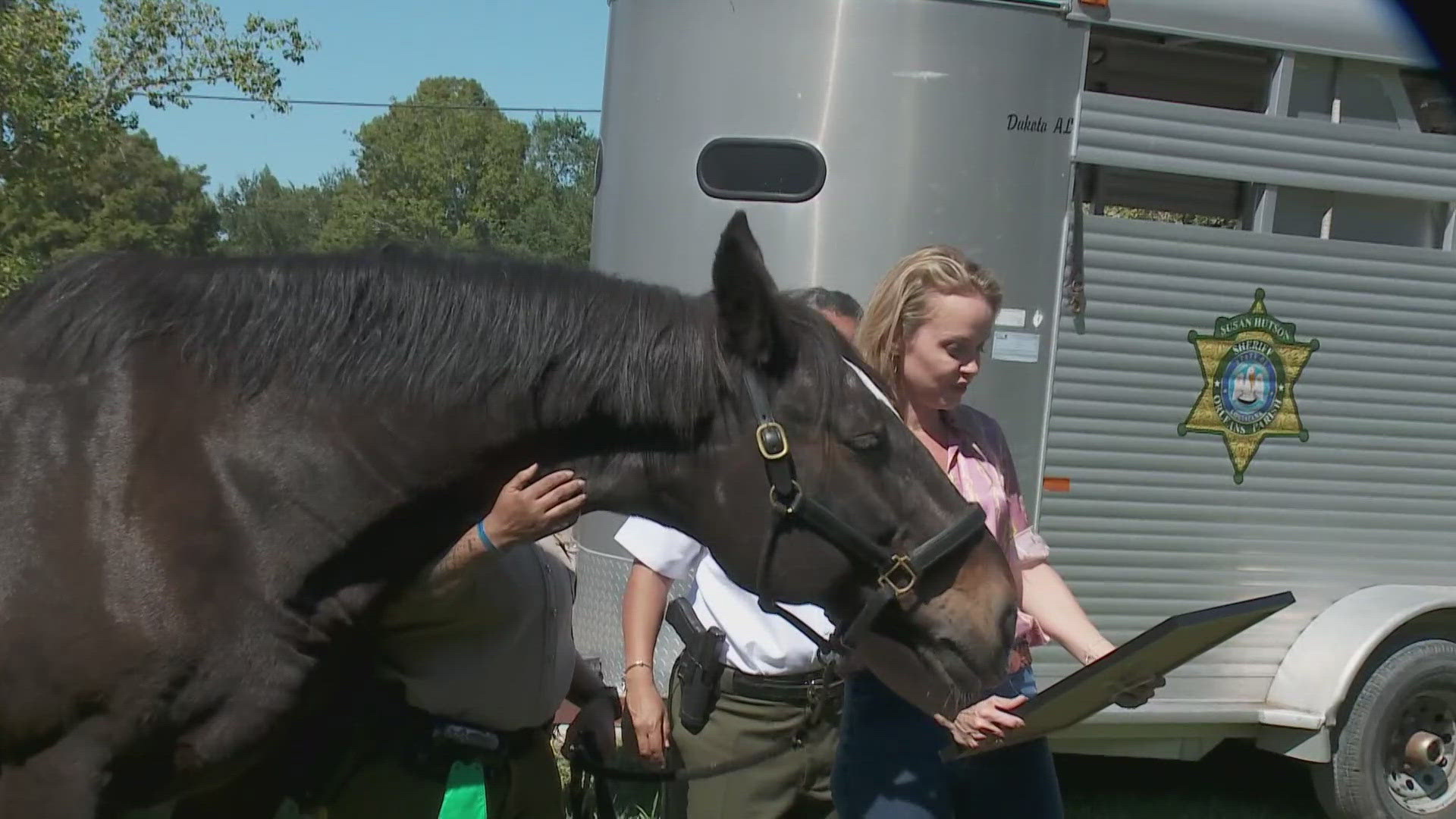 Francis, a senior horse of OPSO retired after serving for more than 17  years and the sheriff sent her off in style.