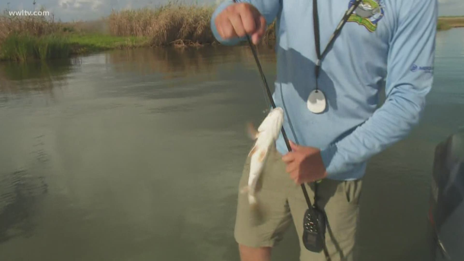 How much did Hurricane Barry effect local fishing? Don Dubuc hits the water to find out.