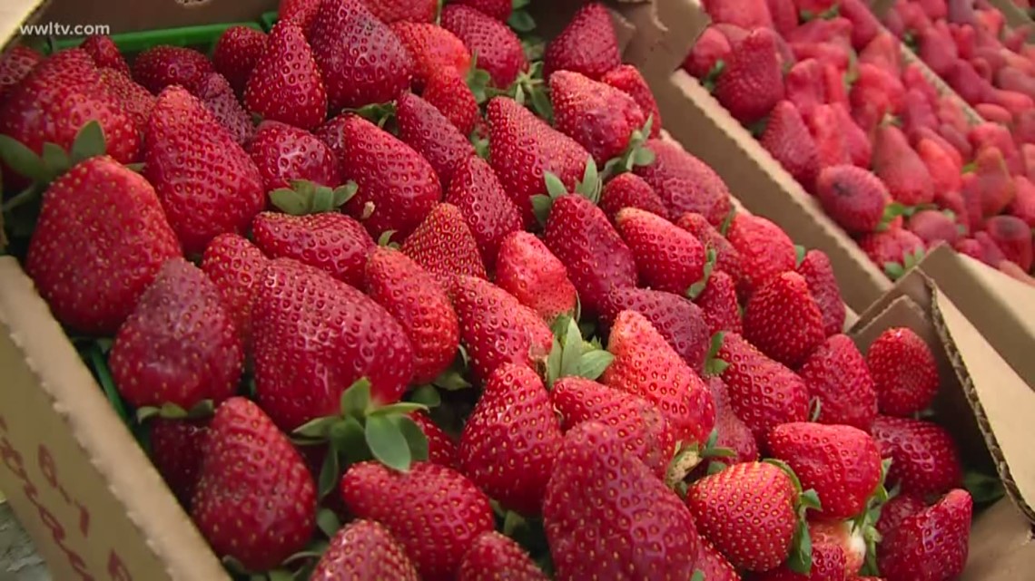 Ponchatoula Strawberry Festival returns | wwltv.com