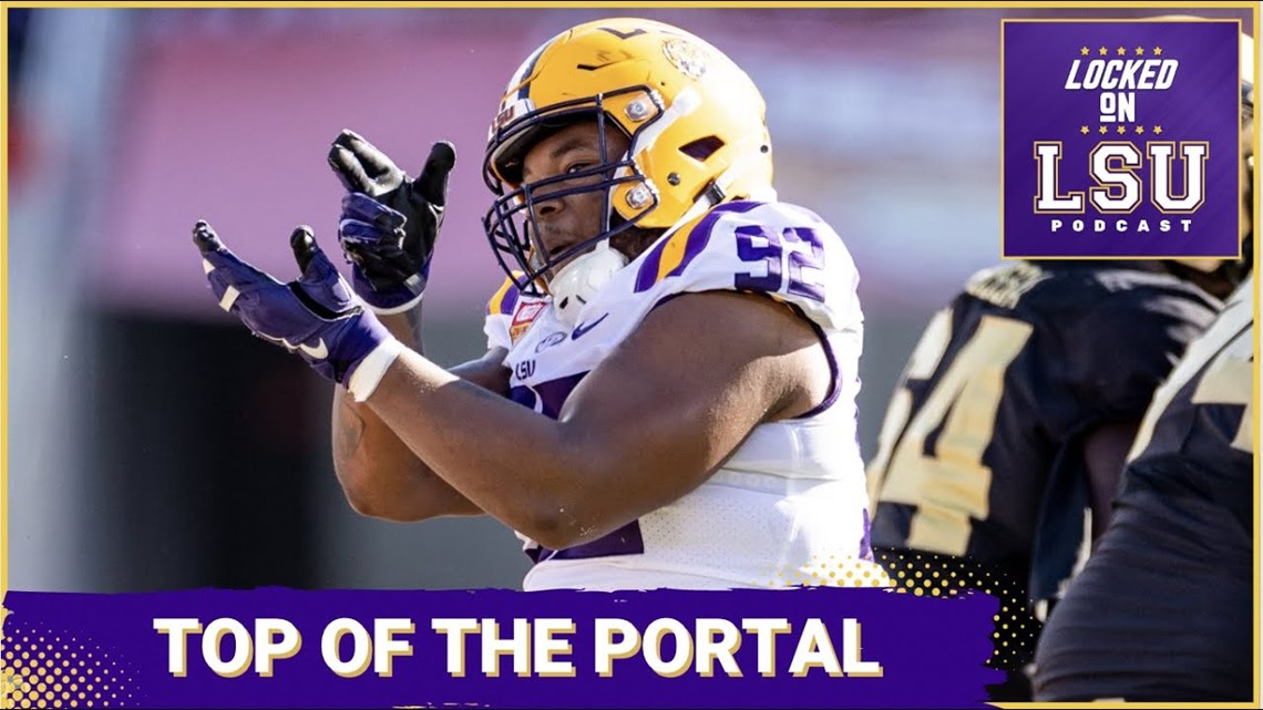 How much can LSU football expect from this transfer portal class?