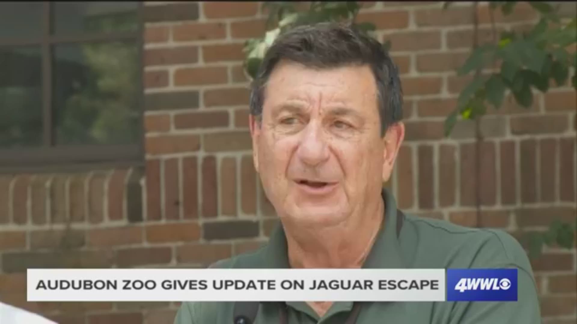 Audubon Zoo officials give update after jaguar escapes enclosure, killing 6 other animals.
