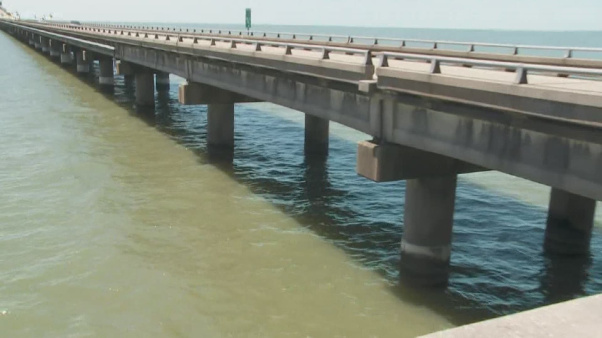 A man, woman and their little dog survived an overboard accident on the Lake Pontchartrain Causeway.