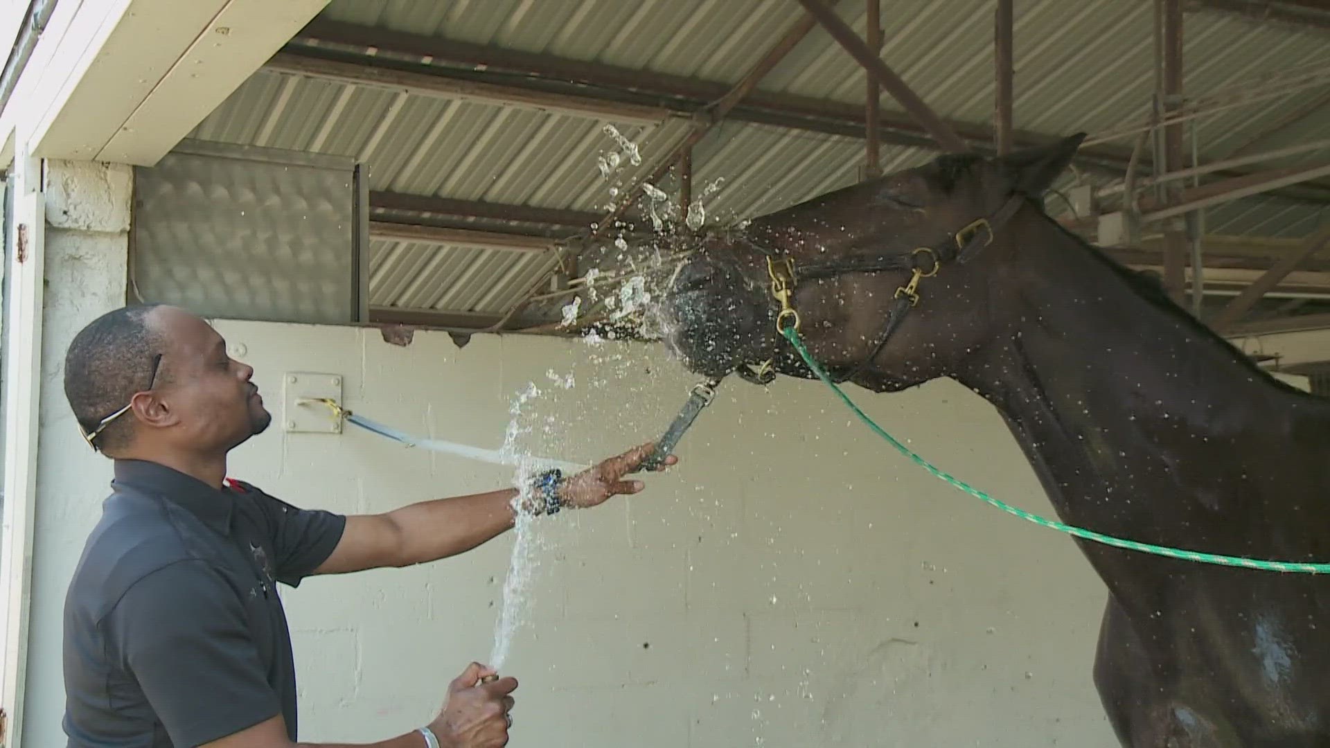 This heatwave is impacting animals, a sheriff's horse visited by vet because of scorching temperatures.