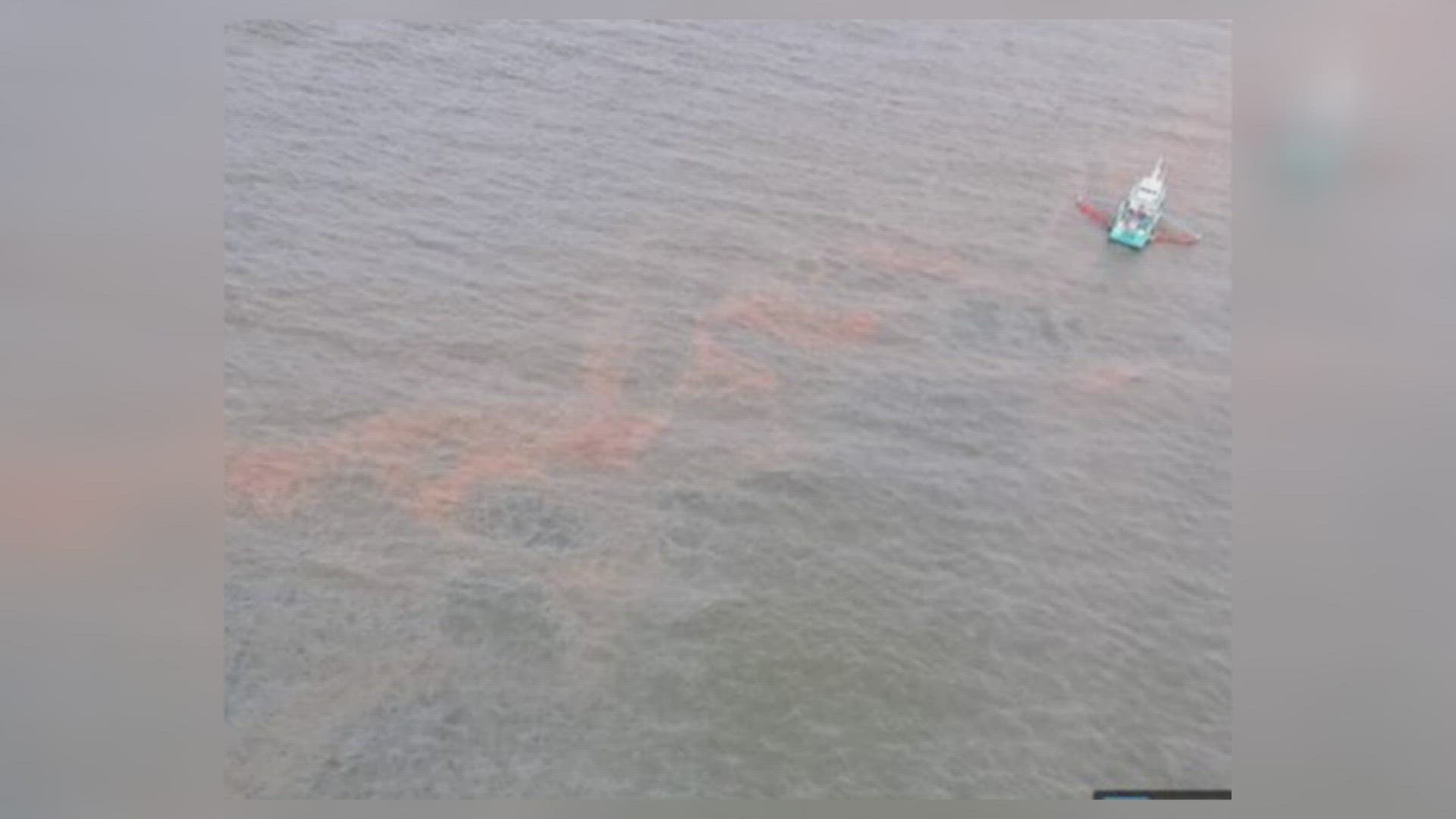 The U.S. Coast Guard said the source was a pipeline owned by Texas Petroleum Investment Company. They said nearly 1,000 gallons of oil spilled.
