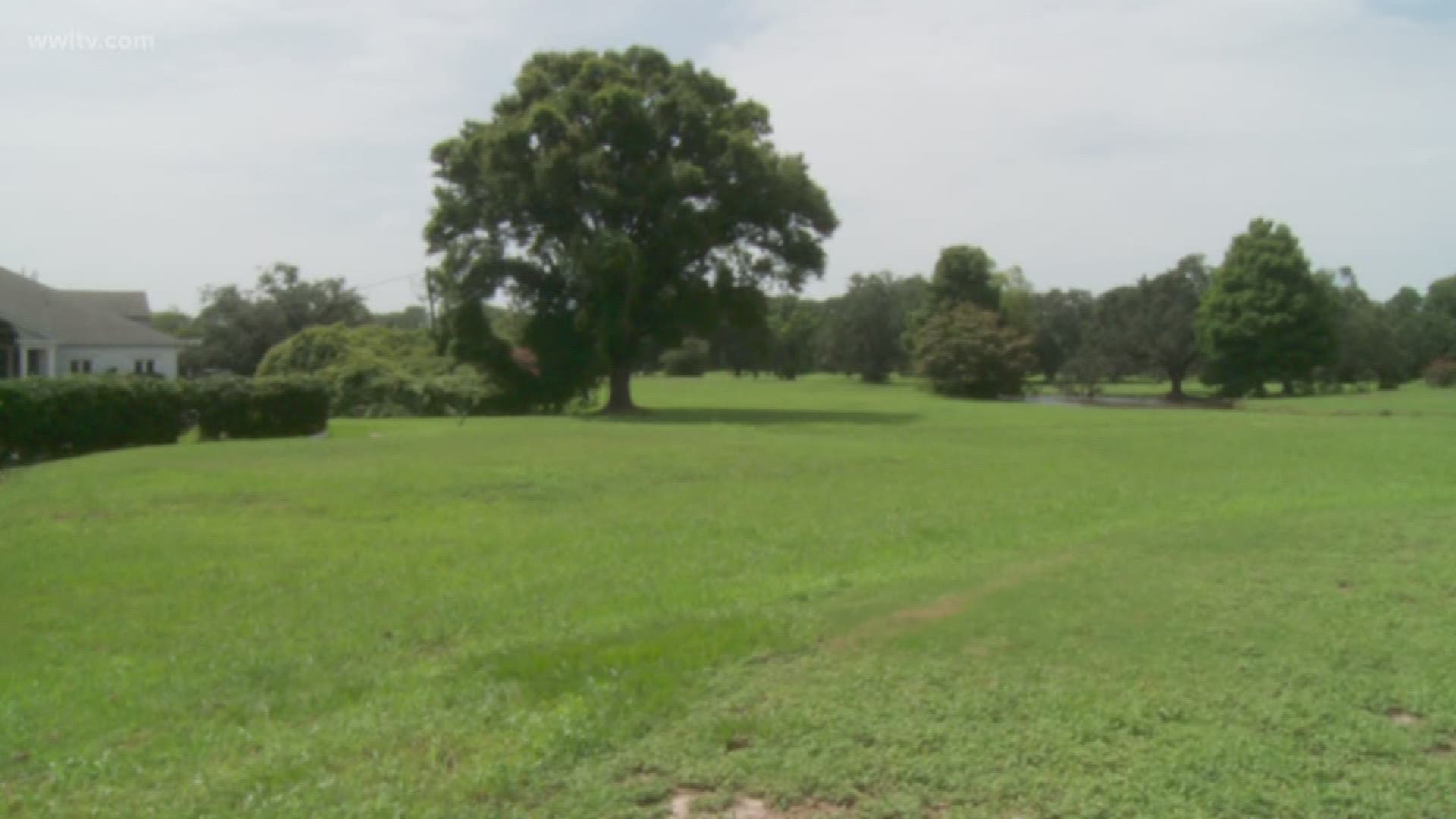 Developers will split up the space with 15 acres going towards commercial use, 15 acres for a retention pond and 58 acres will be leftover to build 76 new homes.