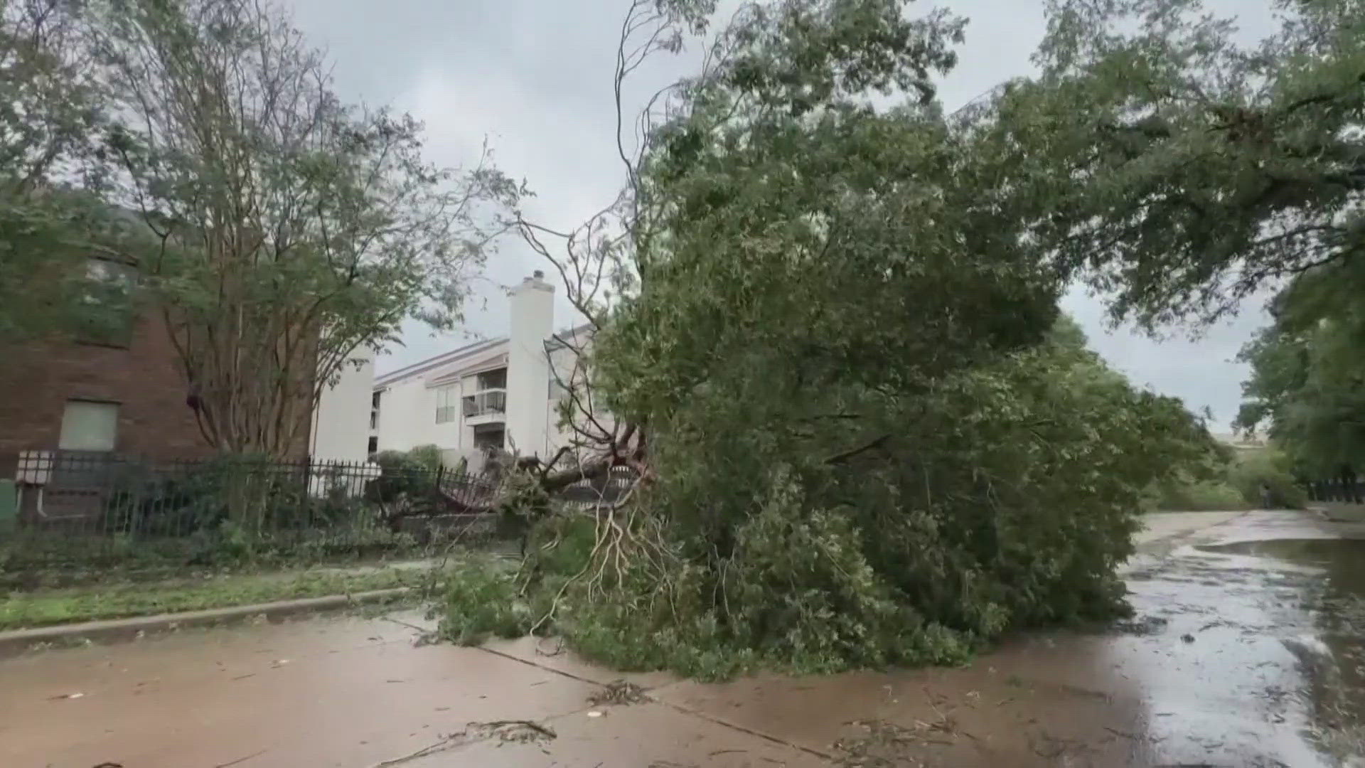 Trees littered streets from winds gusting up to 90MPH  and torrential rain.